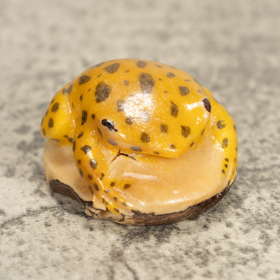Vintage Toad Frog Tagua Nut Carving