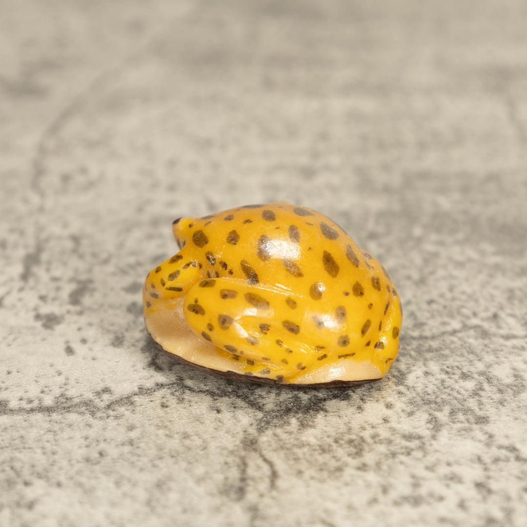 Vintage Toad Frog Tagua Nut Carving