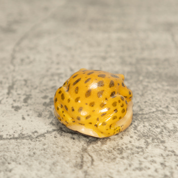 Vintage Toad Frog Tagua Nut Carving