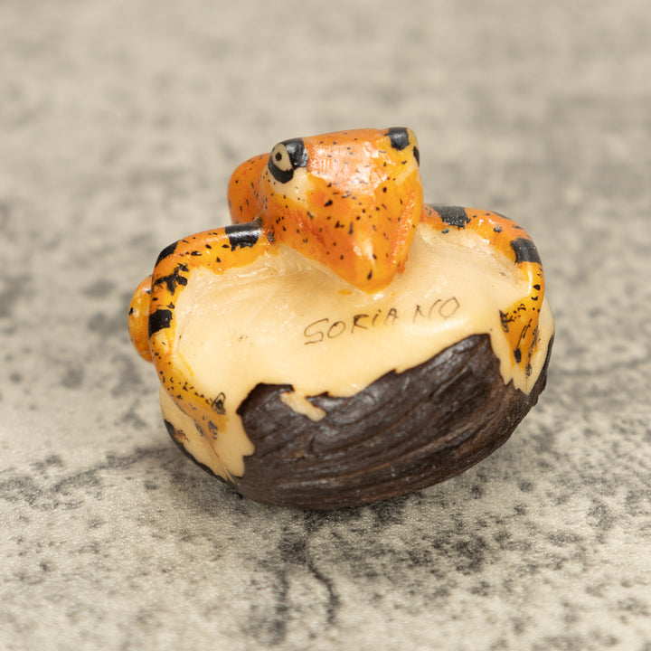 Vintage Frog Tagua Nut Carving