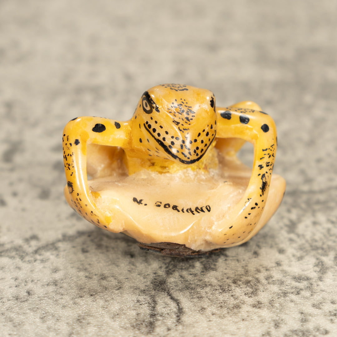 Vintage Frog Tagua Nut Carving