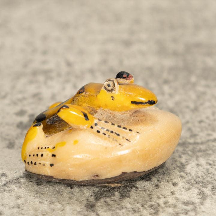 Vintage Frog Tagua Nut Carving
