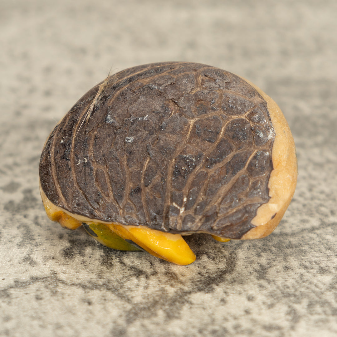 Vintage Frog Tagua Nut Carving