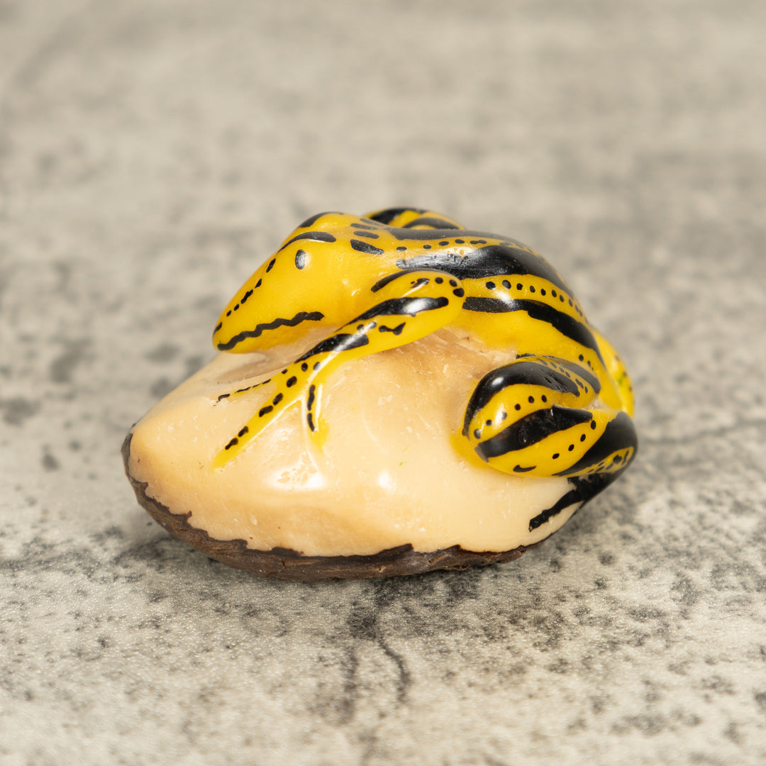 Vintage Frog Tagua Nut Carving