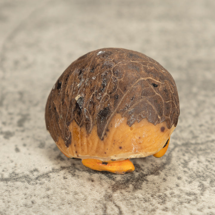 Vintage Frog Tagua Nut Carving