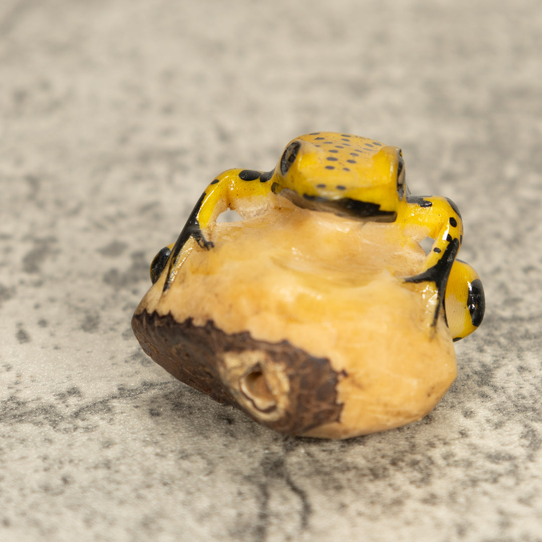 Vintage Frog Tagua Nut Carving