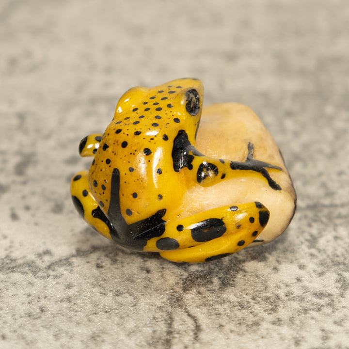 Vintage Frog Tagua Nut Carving