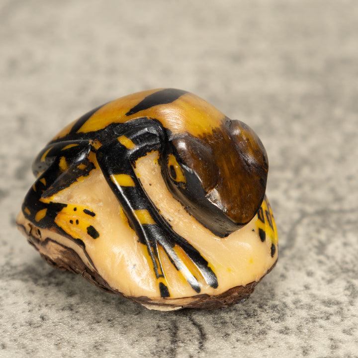 Vintage Frog Tagua Nut Carving