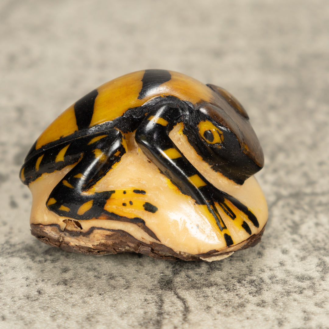 Vintage Frog Tagua Nut Carving