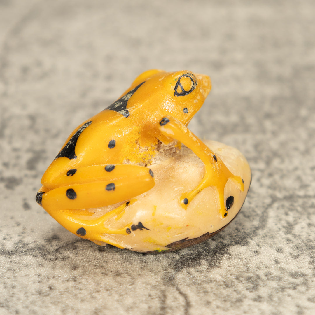 Vintage Frog Tagua Nut Carving