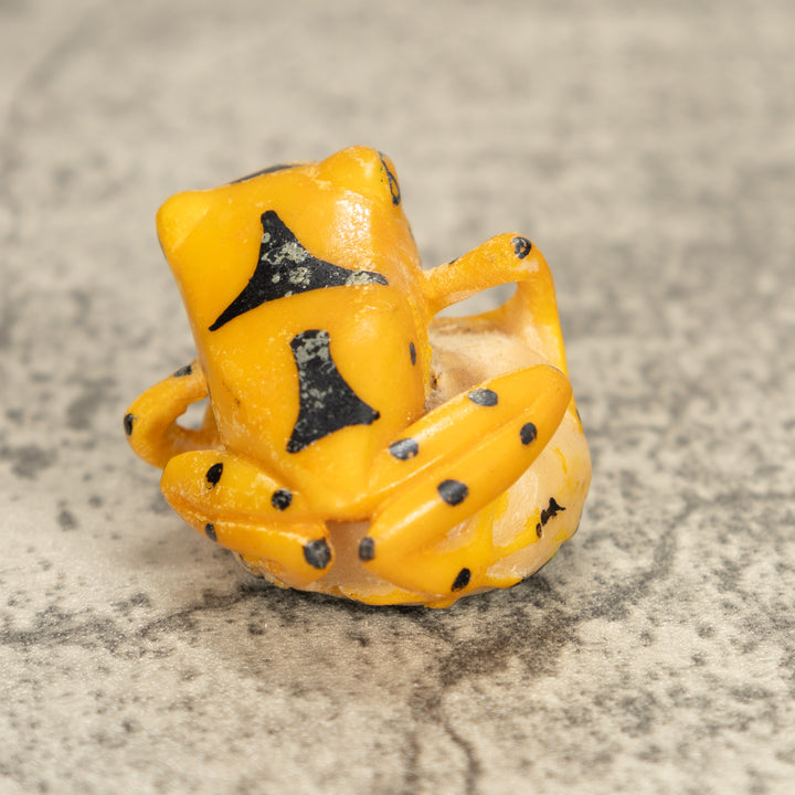 Vintage Frog Tagua Nut Carving