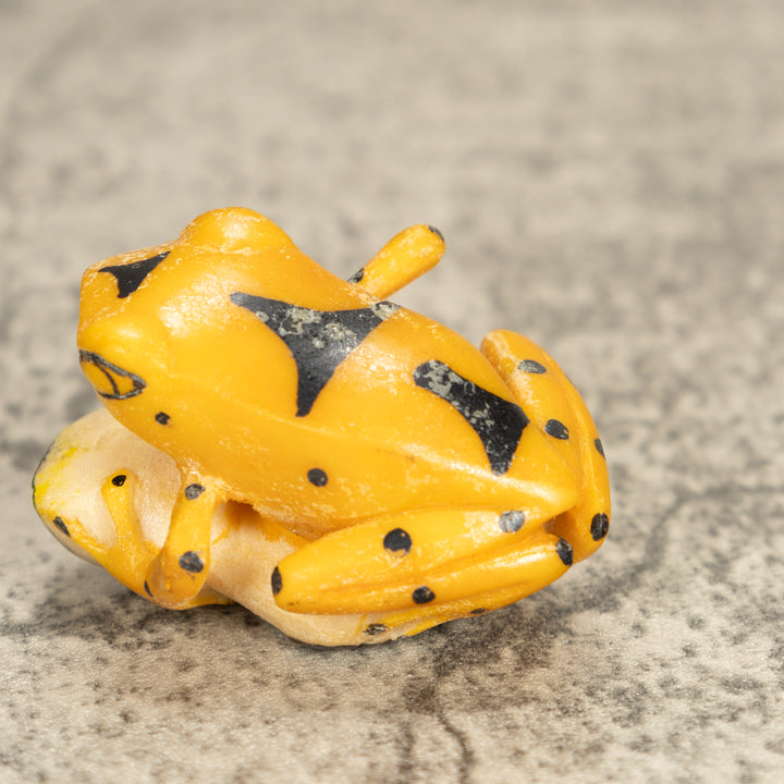 Vintage Frog Tagua Nut Carving