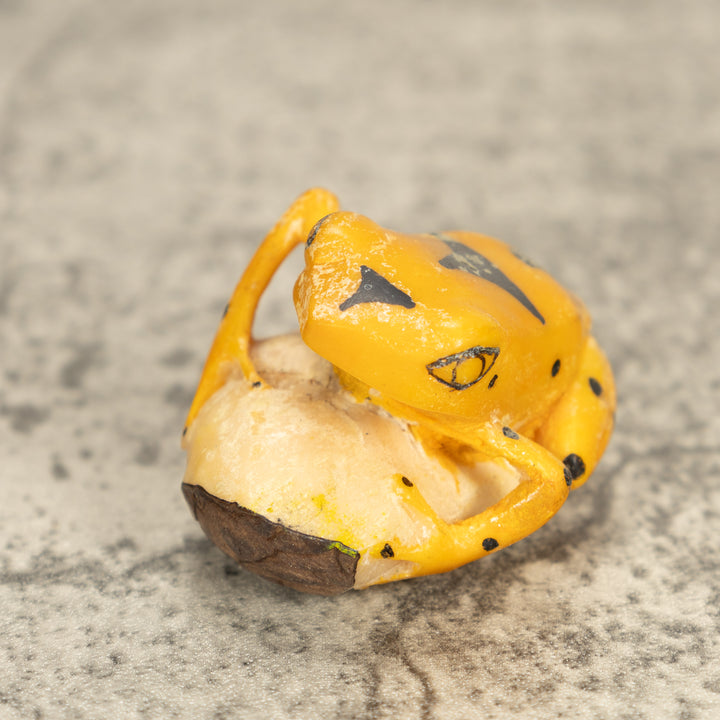 Vintage Frog Tagua Nut Carving