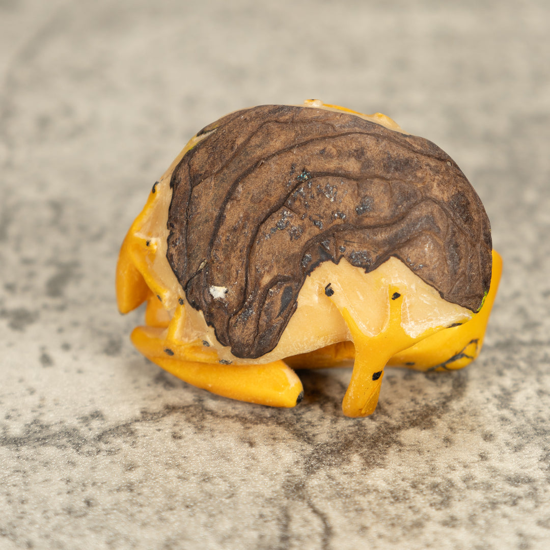 Vintage Frog Tagua Nut Carving