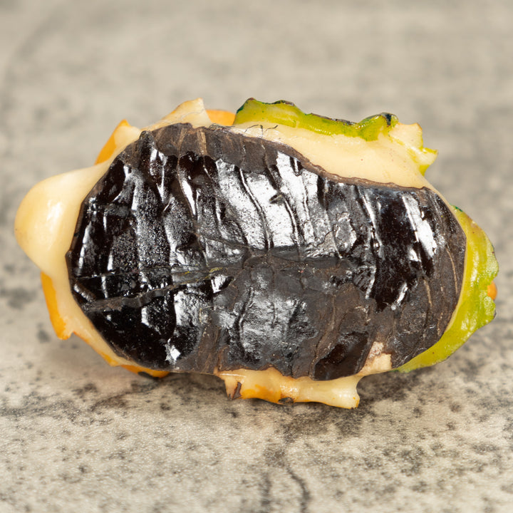 Vintage Frog Tagua Nut Carving