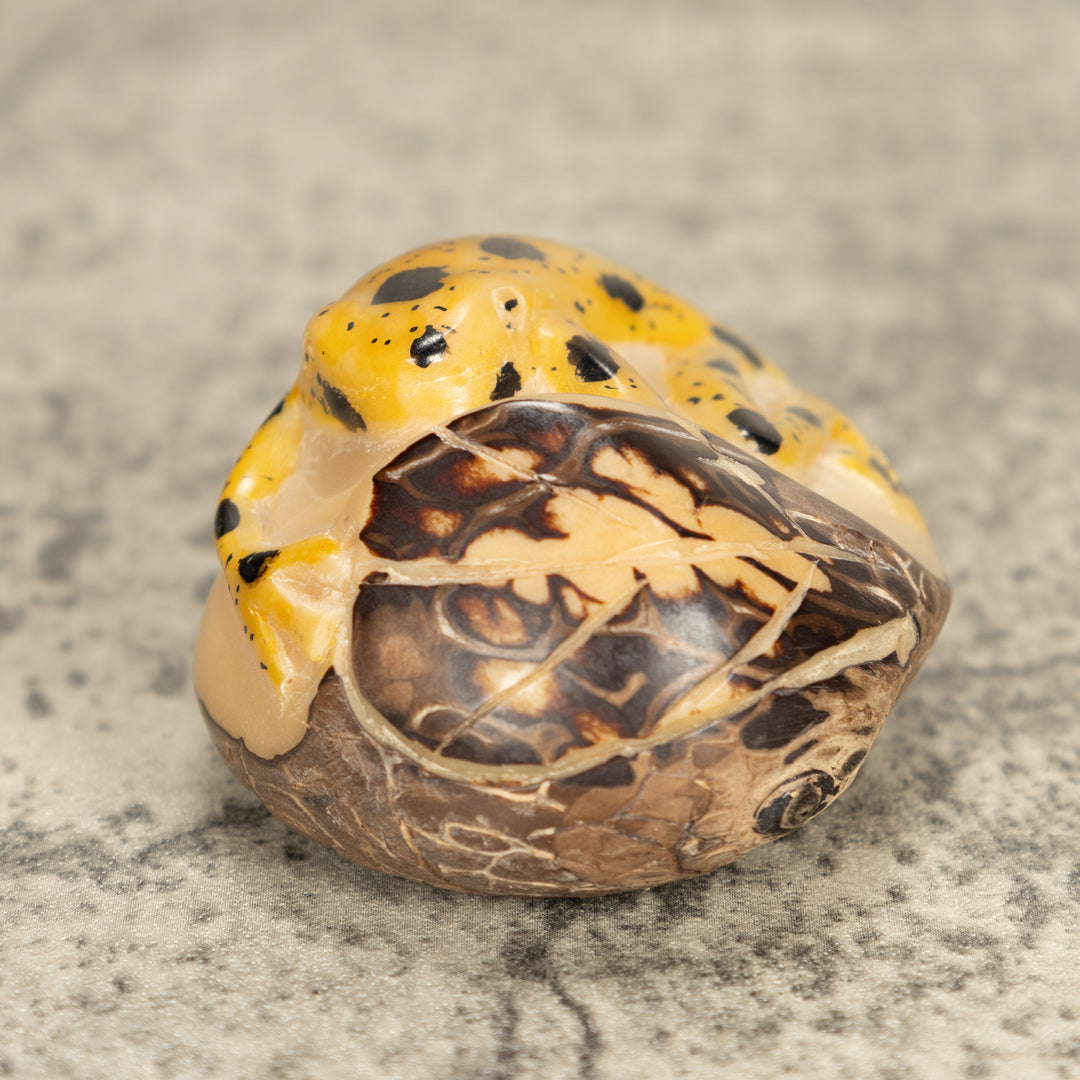 Vintage Frog Tagua Nut Carving