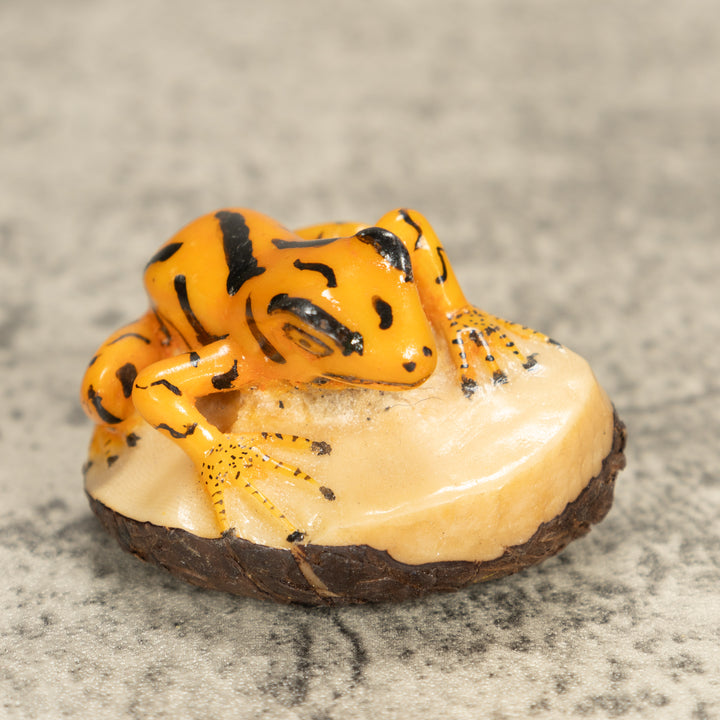 Vintage Frog Tagua Nut Carving