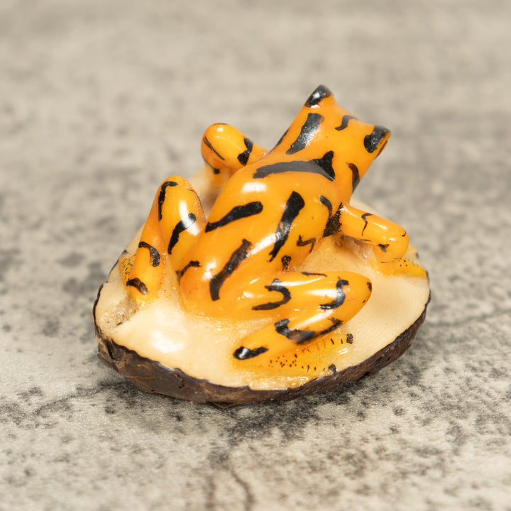 Vintage Frog Tagua Nut Carving