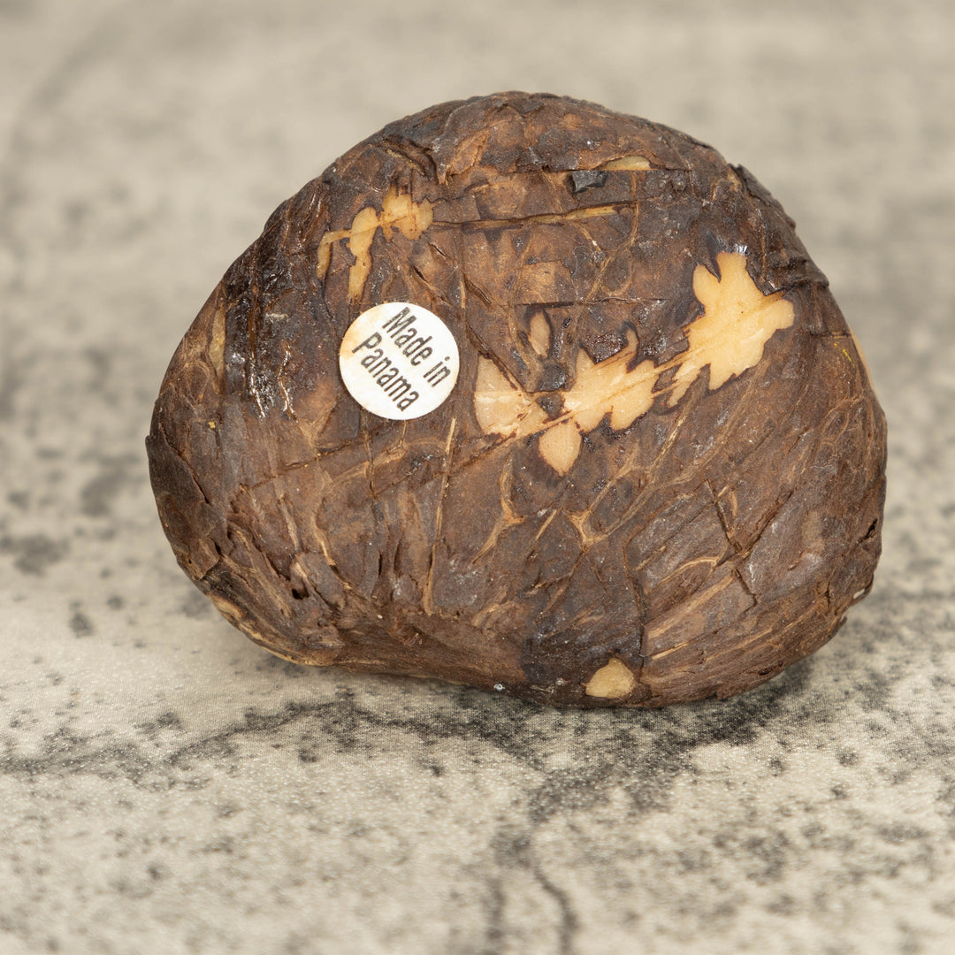 Vintage Frog Tagua Nut Carving