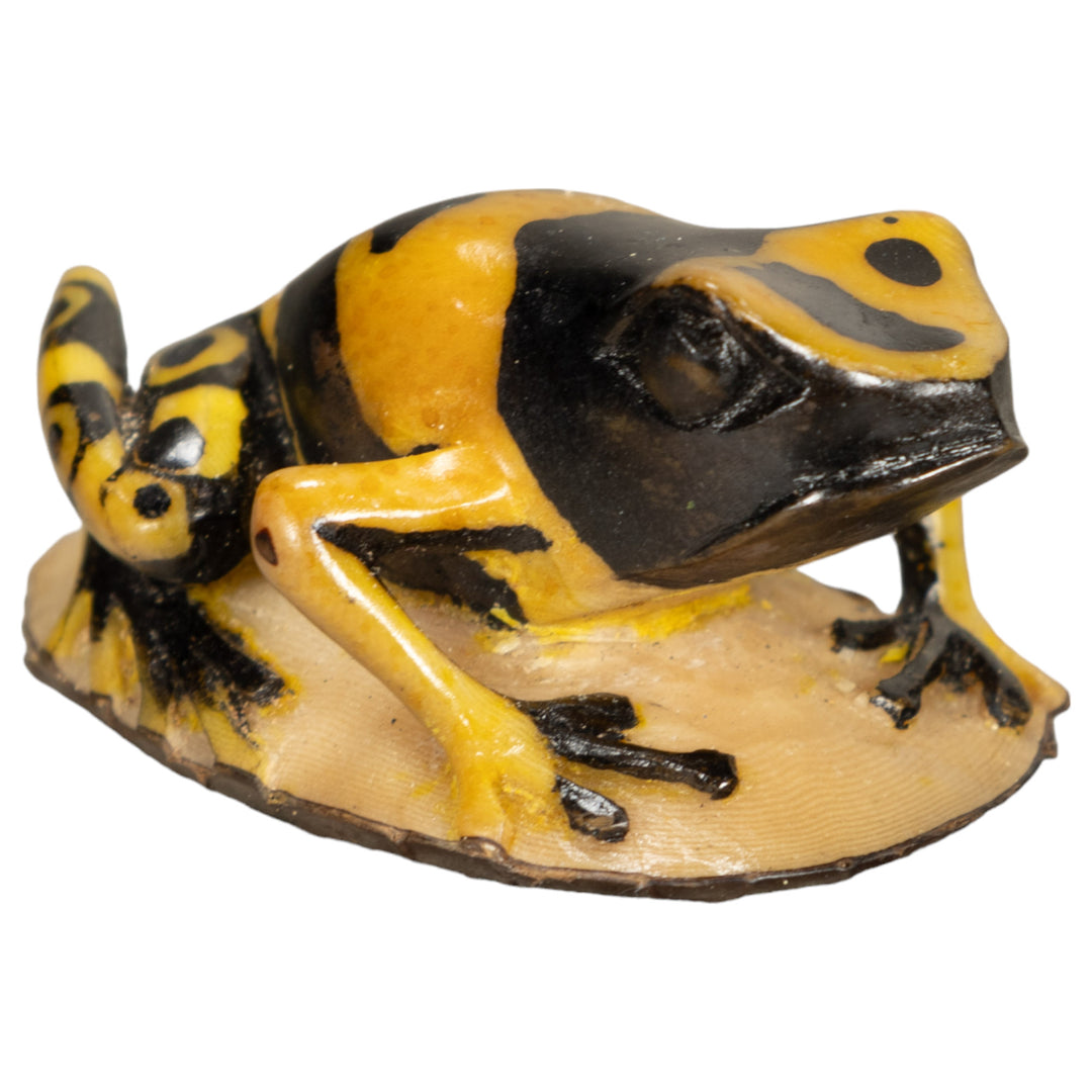 Vintage Frog Tagua Nut Carving