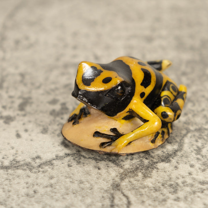 Vintage Frog Tagua Nut Carving