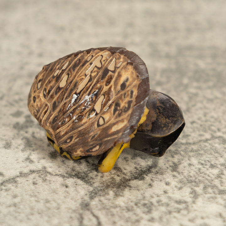 Vintage Frog Tagua Nut Carving