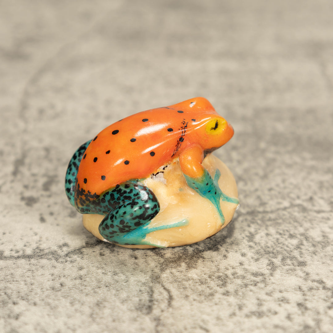 Vintage Poison Dart Tagua Nut Carving