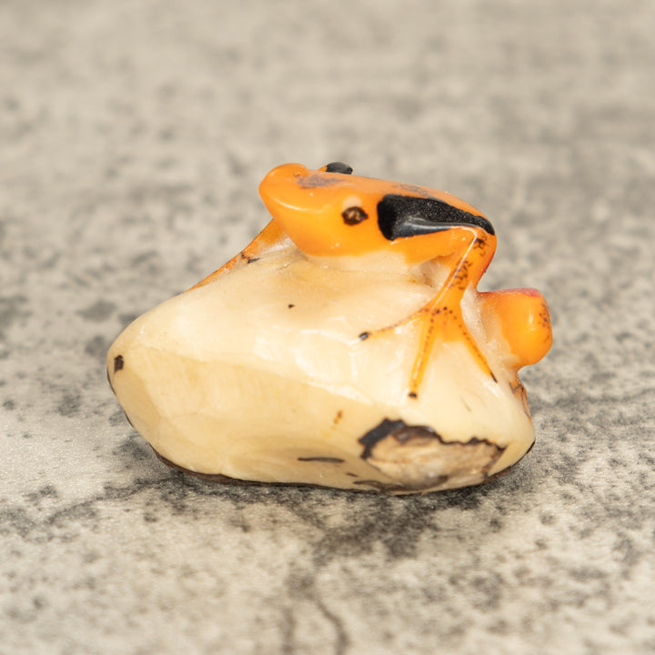 Vintage Poison Dart Tagua Nut Carving