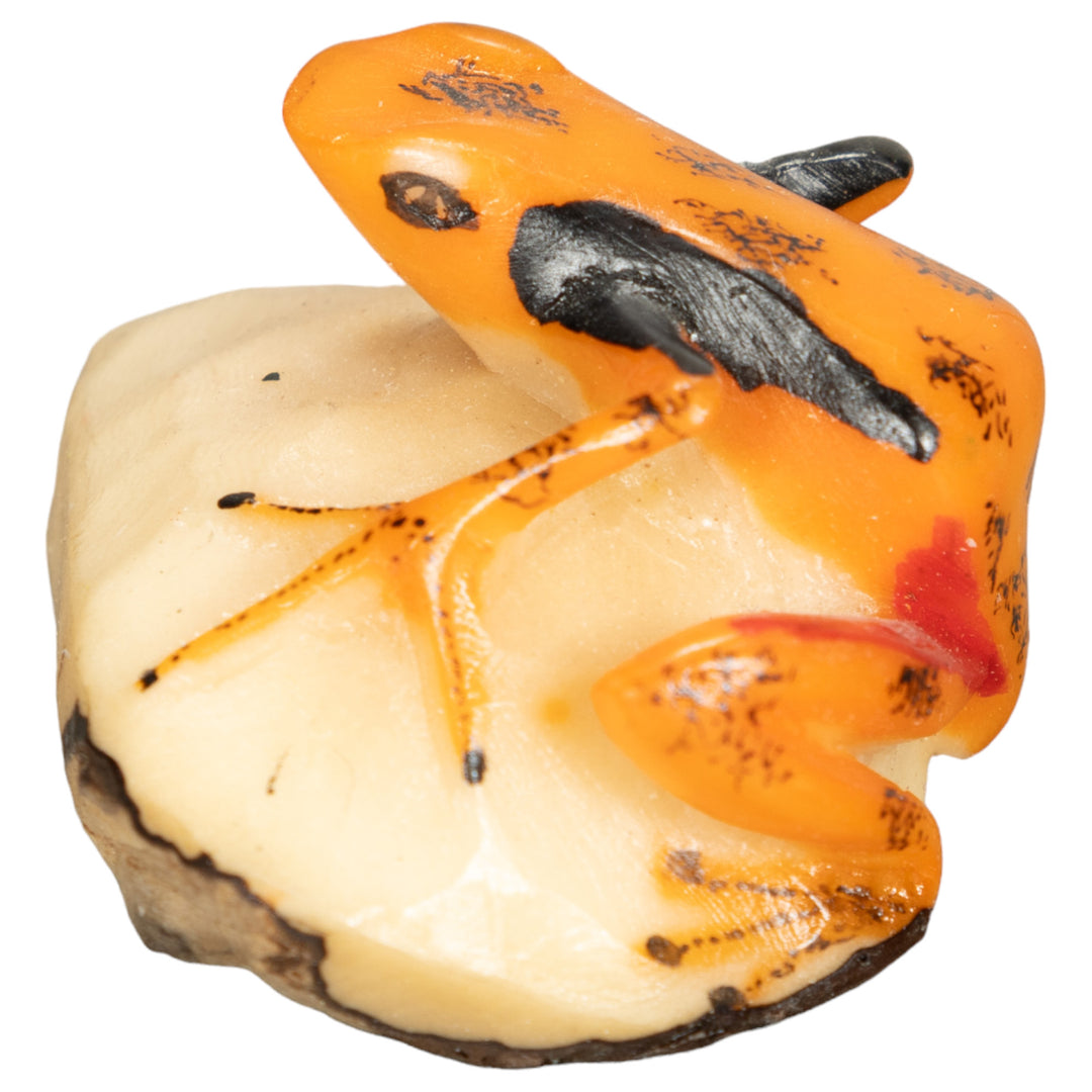 Vintage Poison Dart Tagua Nut Carving