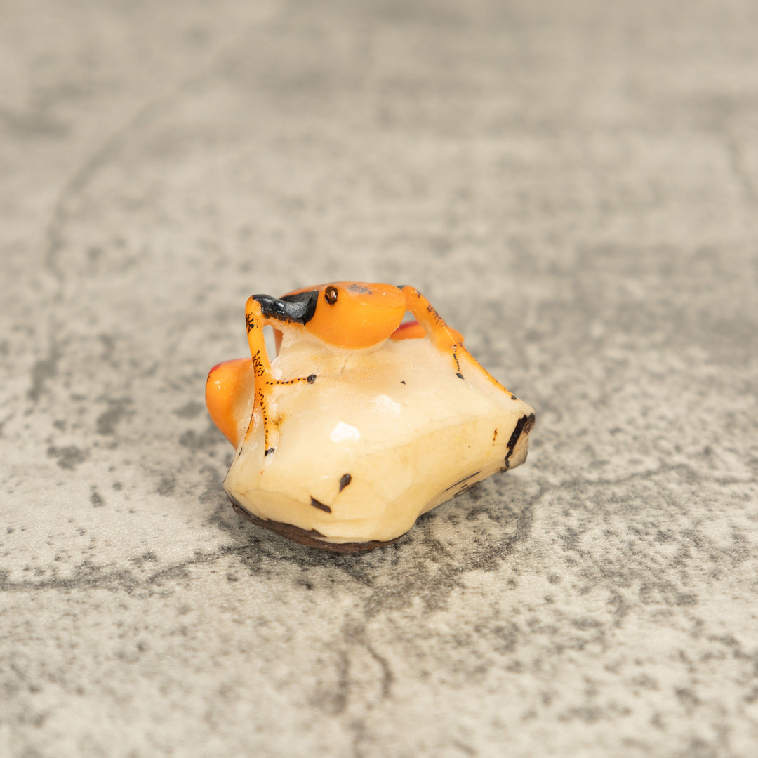 Vintage Poison Dart Tagua Nut Carving