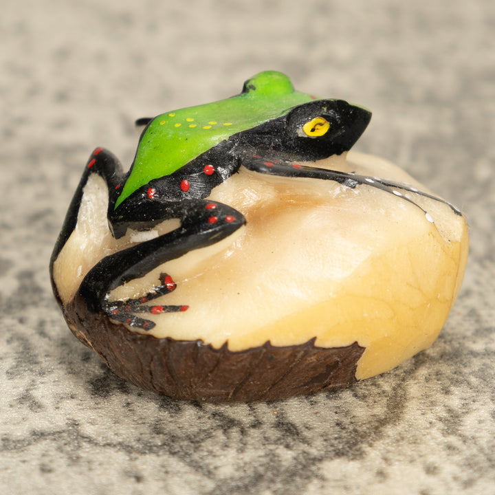 Vintage Poison Dart Tagua Nut Carving