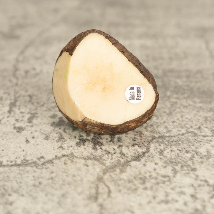 Vintage Poison Dart Tagua Nut Carving