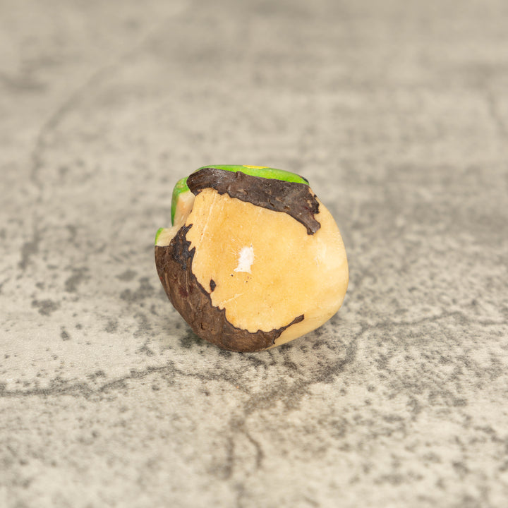 Vintage Poison Dart Tagua Nut Carving