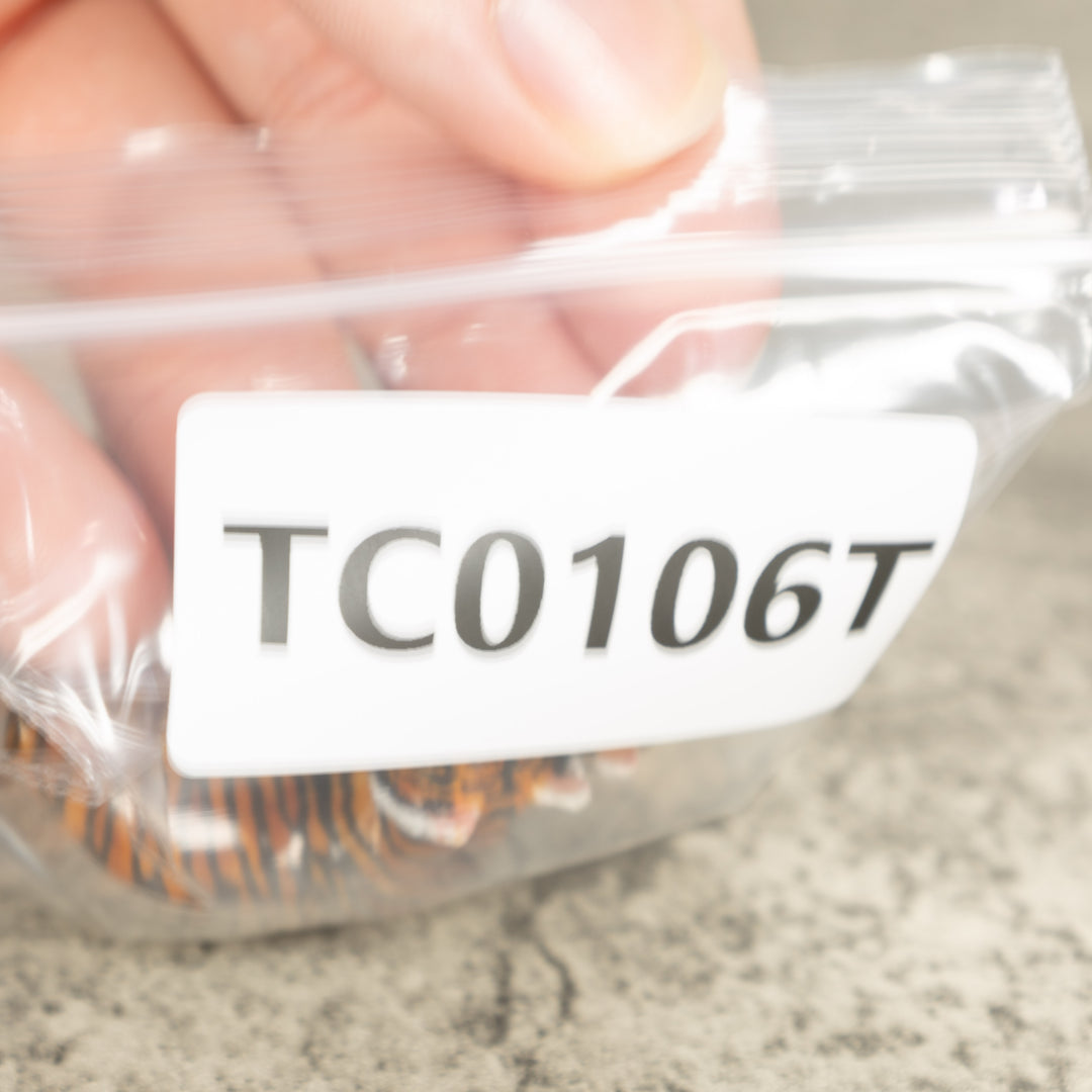 3 Bengal Tiger Cat Tagua Nut Carving