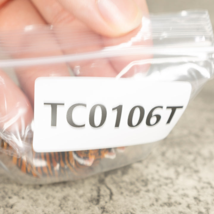 3 Bengal Tiger Cat Tagua Nut Carving