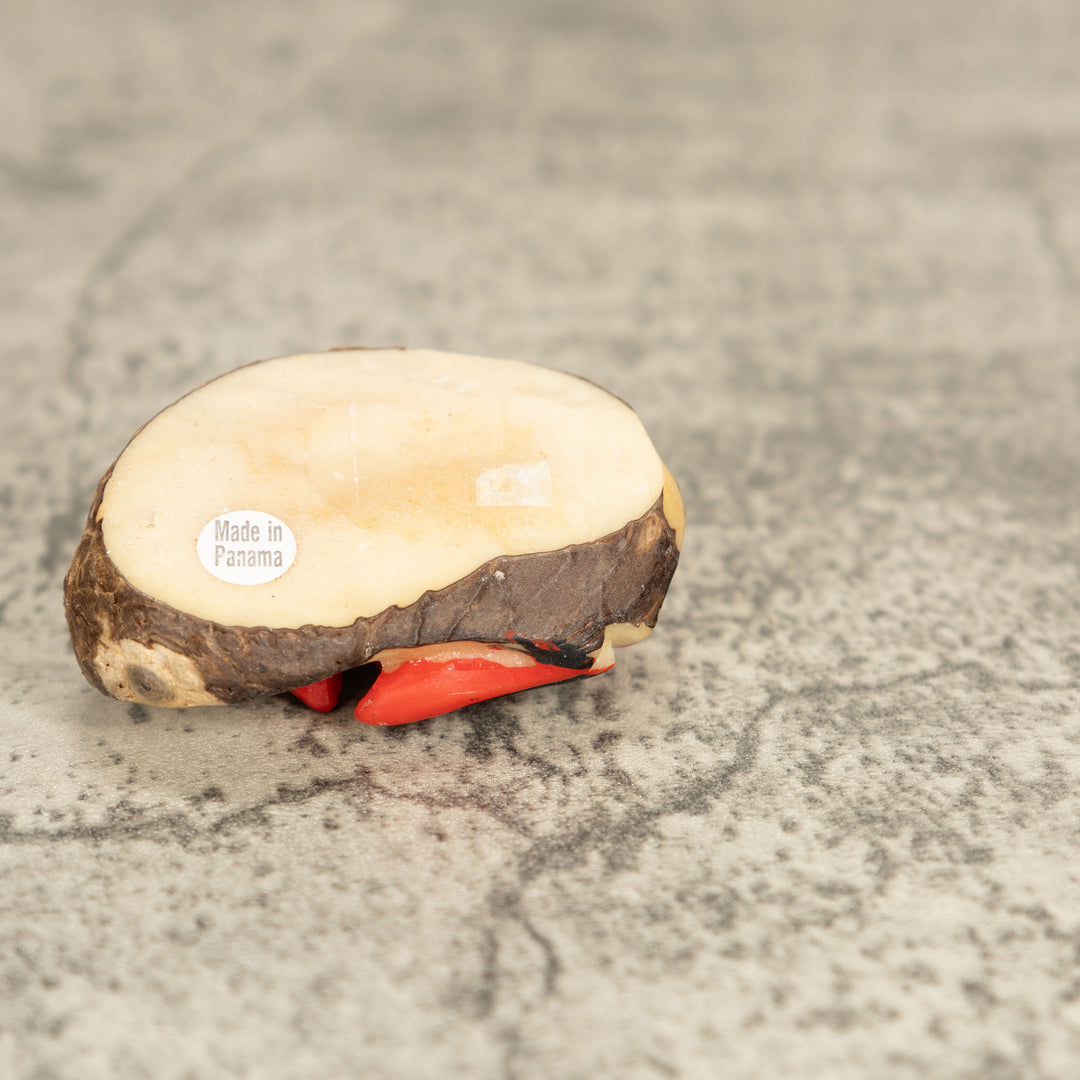 Vintage Poison Dart Tagua Nut Carving