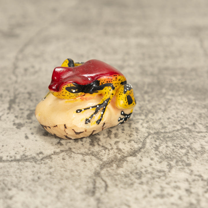 Vintage Poison Dart Tagua Nut Carving