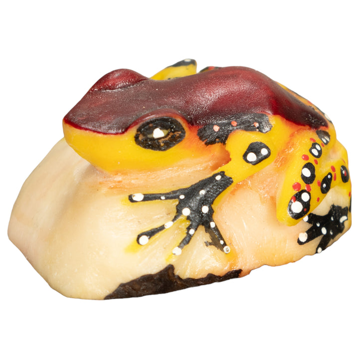 Vintage Poison Dart Tagua Nut Carving