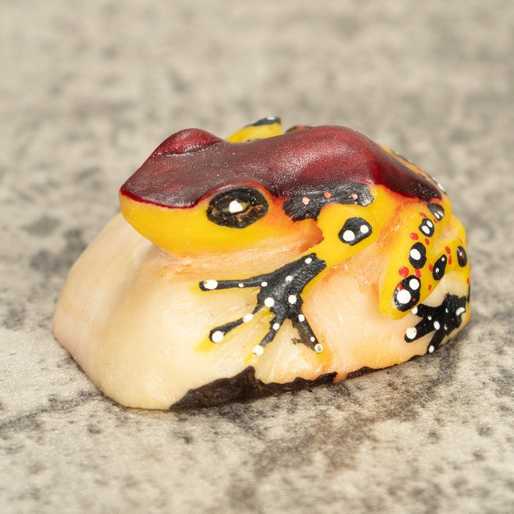 Vintage Poison Dart Tagua Nut Carving