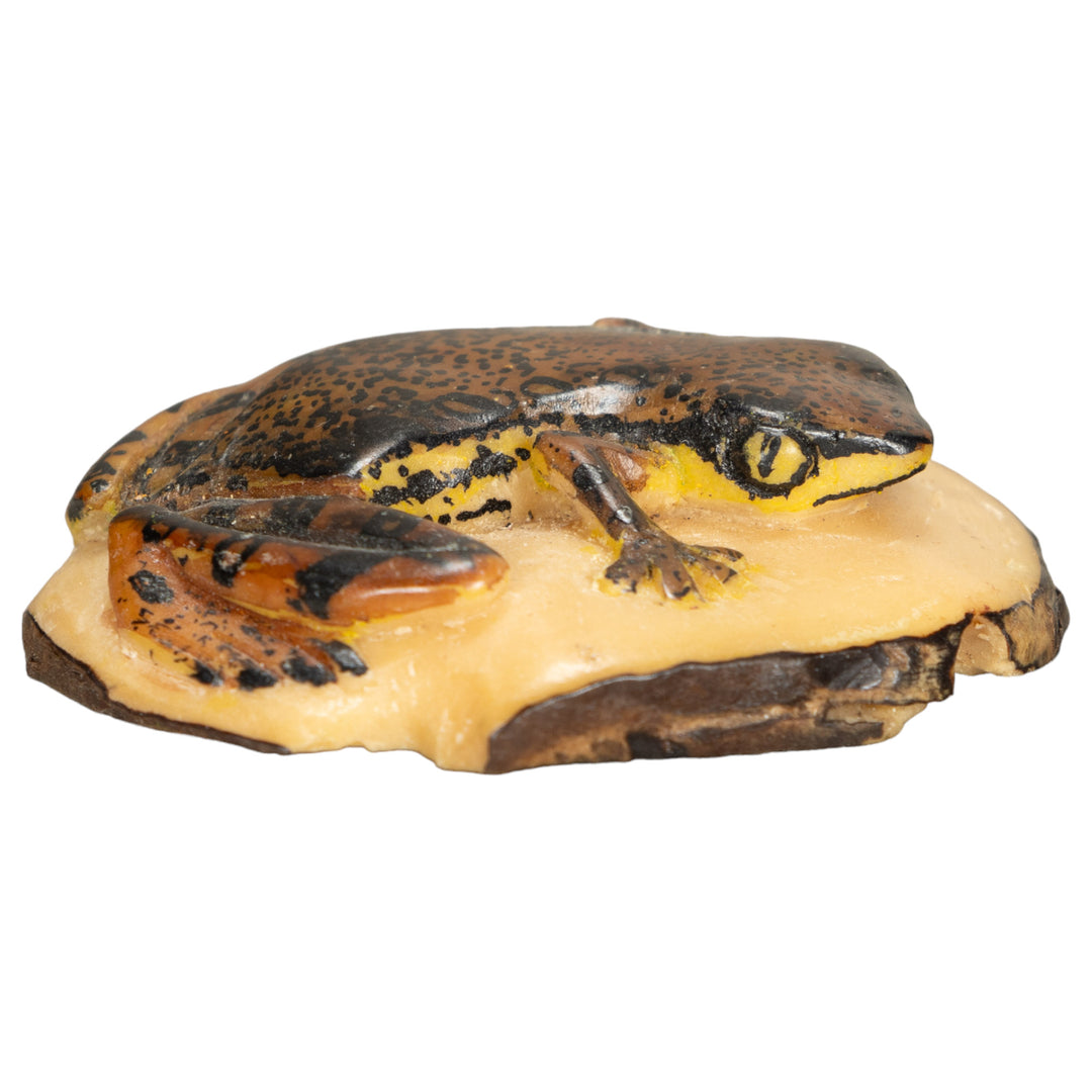 Vintage Poison Dart Tagua Nut Carving