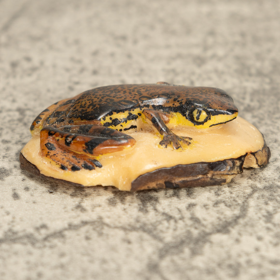 Vintage Poison Dart Tagua Nut Carving