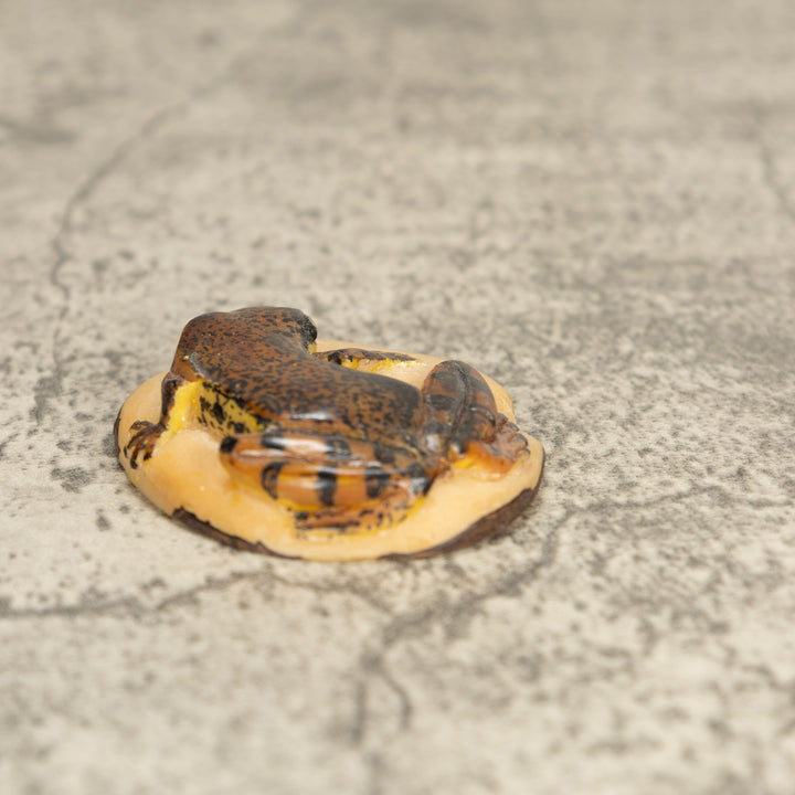 Vintage Poison Dart Tagua Nut Carving