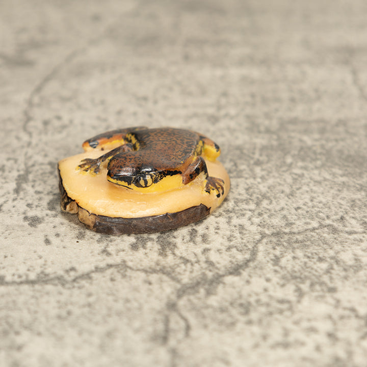 Vintage Poison Dart Tagua Nut Carving