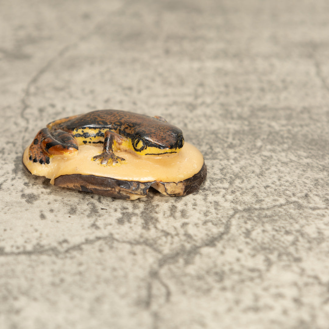 Vintage Poison Dart Tagua Nut Carving