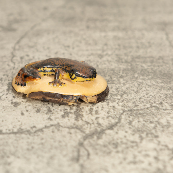 Vintage Poison Dart Tagua Nut Carving