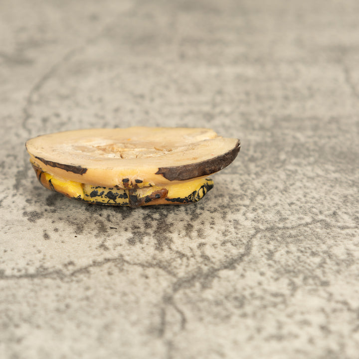 Vintage Poison Dart Tagua Nut Carving