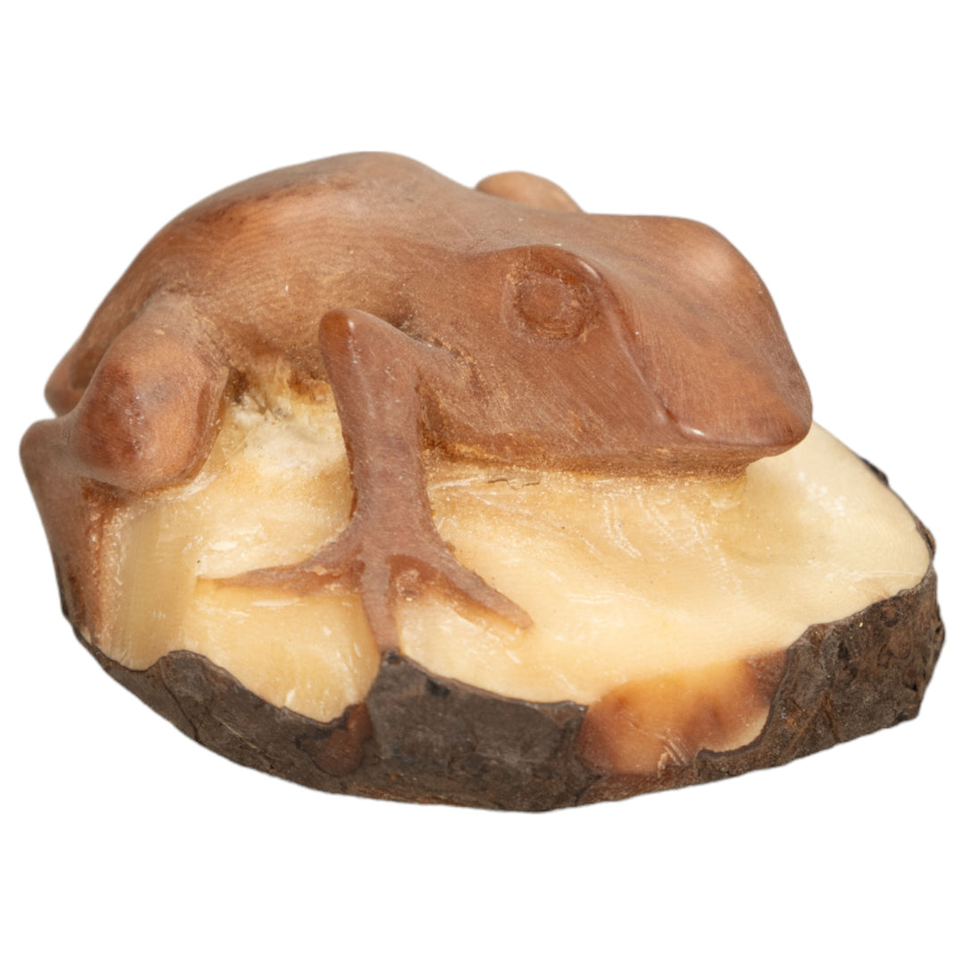 Vintage Poison Dart Tagua Nut Carving