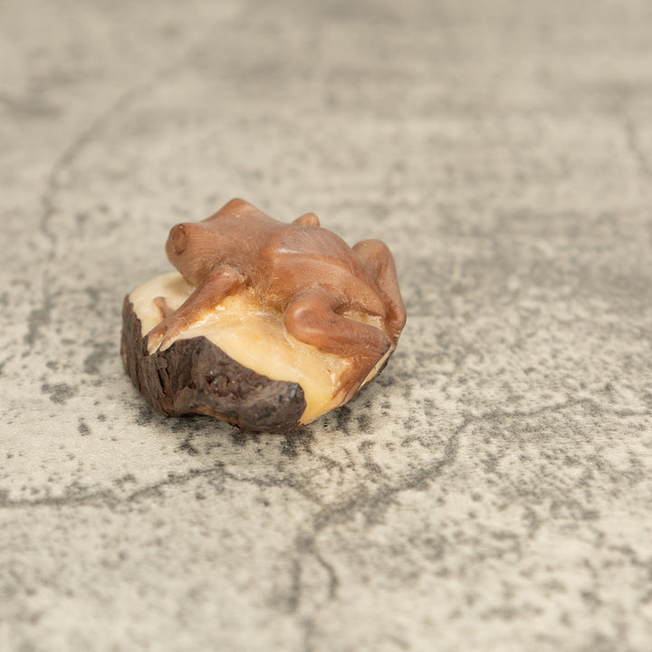 Vintage Poison Dart Tagua Nut Carving