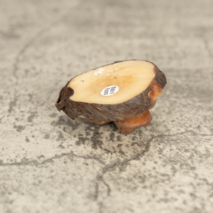 Vintage Poison Dart Tagua Nut Carving