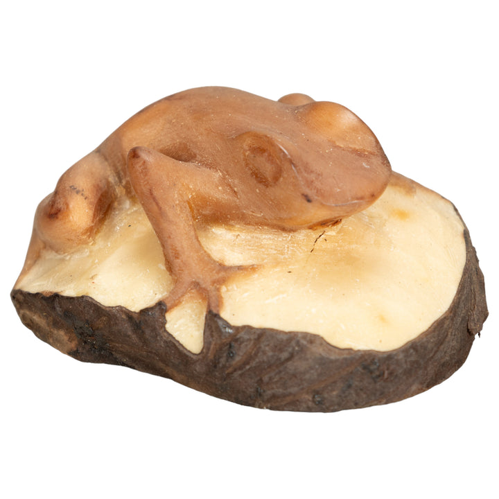 Vintage Poison Dart Tagua Nut Carving